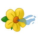 Squirting Flower
